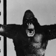 Just imagine two slides where King Kong’s nipples are